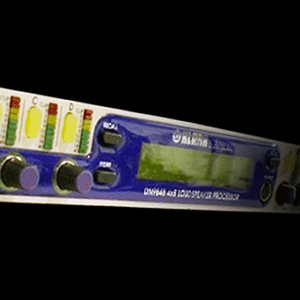 Into the New Millennium